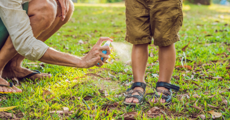 DIY Home Care Mosquito Repellent